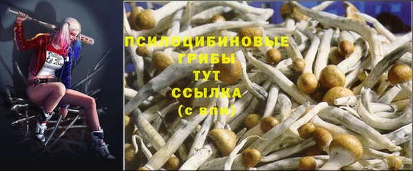 PSILOCYBIN Баксан